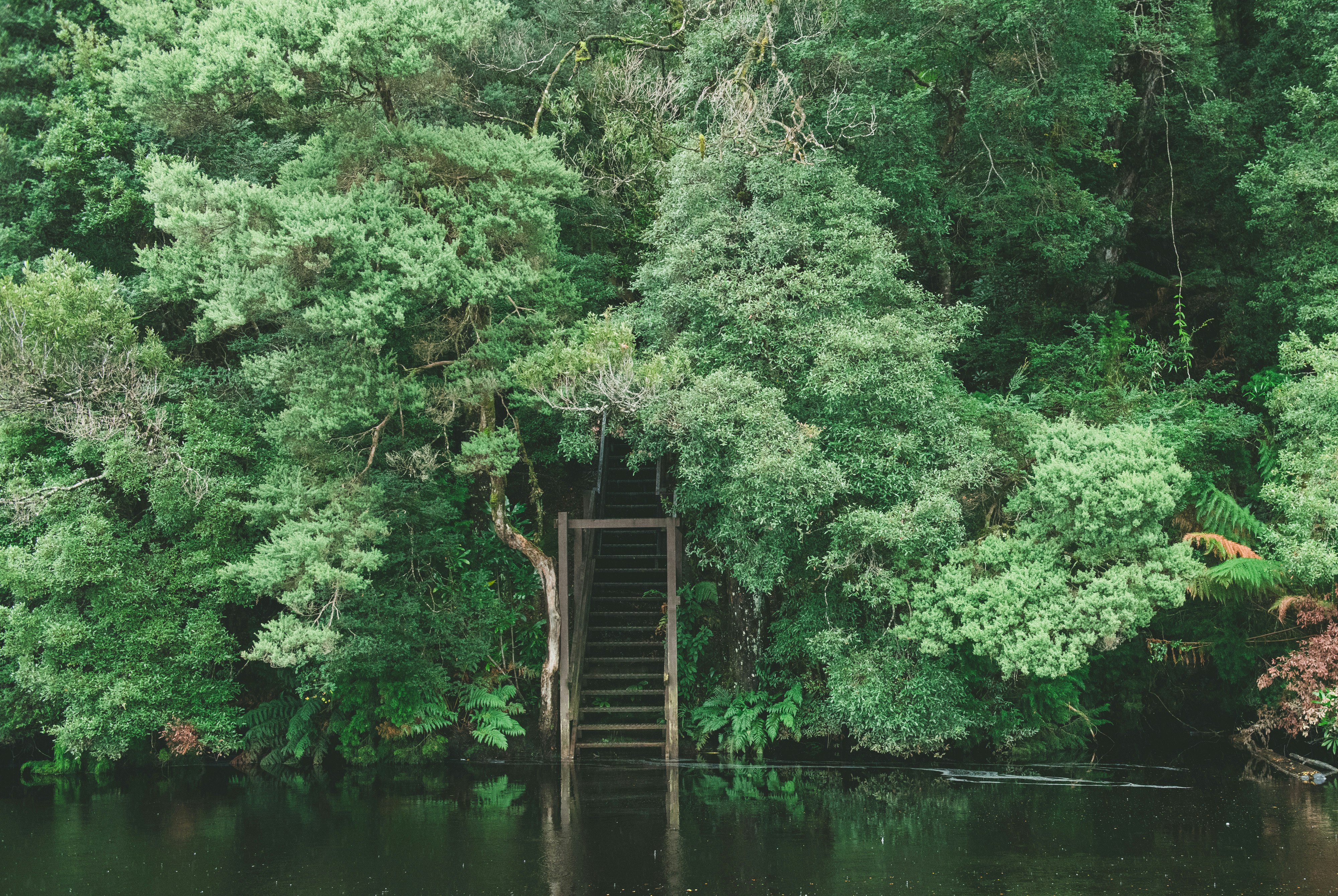 Staircase to Lovers Falls, Tasmania